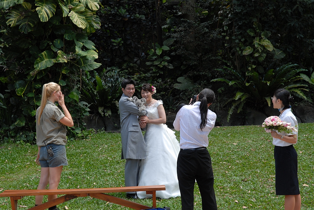 0103 Cairns Tropical Zoo.jpg